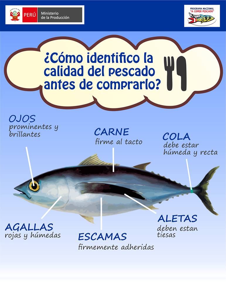Aprende a identificar un pescado fresco – A Comer Pescado