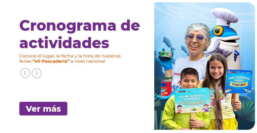 WEB_RESULTADOS VFFGF
